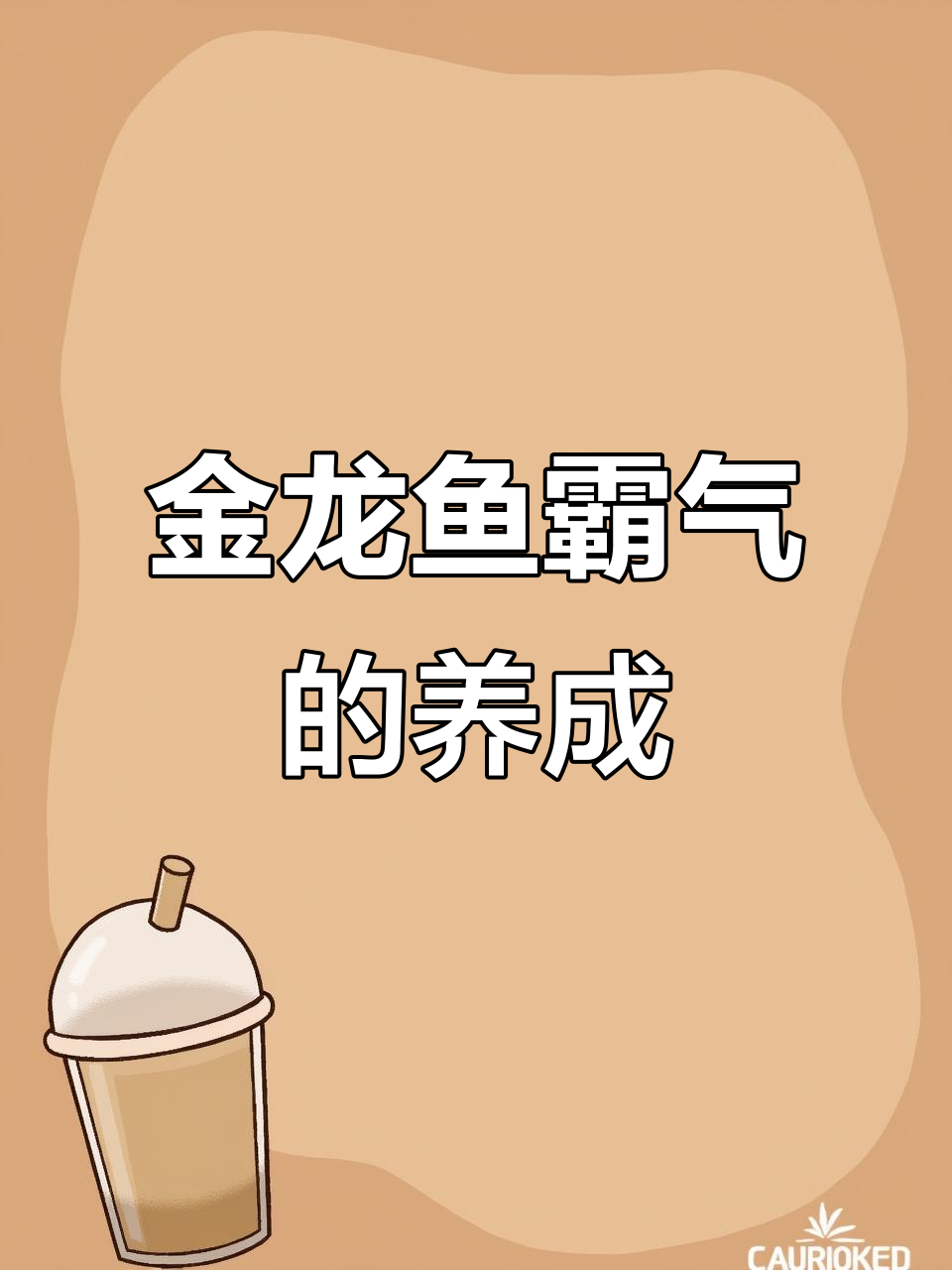 如何培养金龙鱼的霸气与野性?从环境到食物的全方位调整