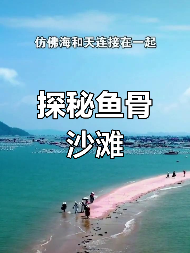 福建东山岛的神秘鱼骨沙洲