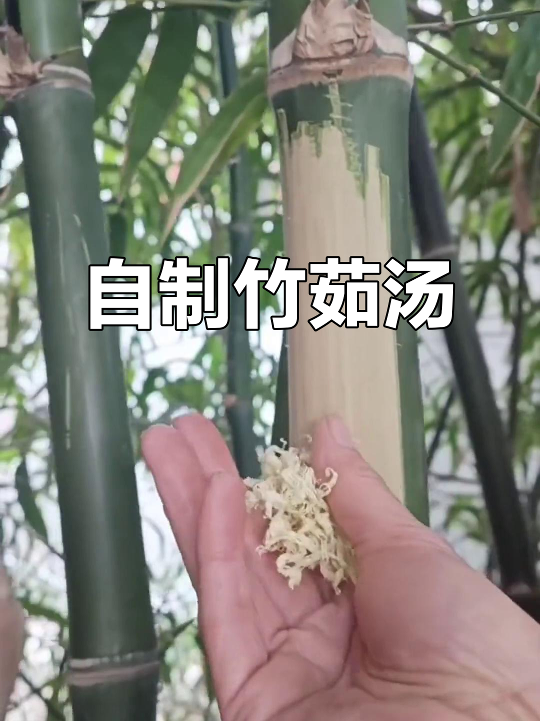 竹茹制作全攻略:从刮青到煮汤,轻松学会农村传统技艺