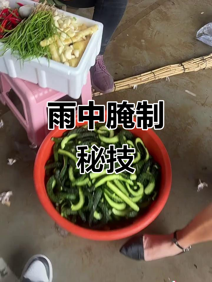雨天闲来无事,动手做腌菜,技术大公开!