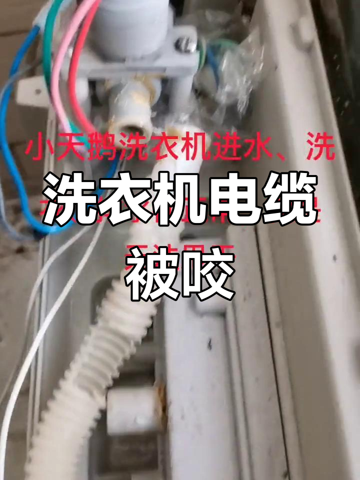 小天鹅洗衣机E2故障,竟是老鼠咬坏进水管导致