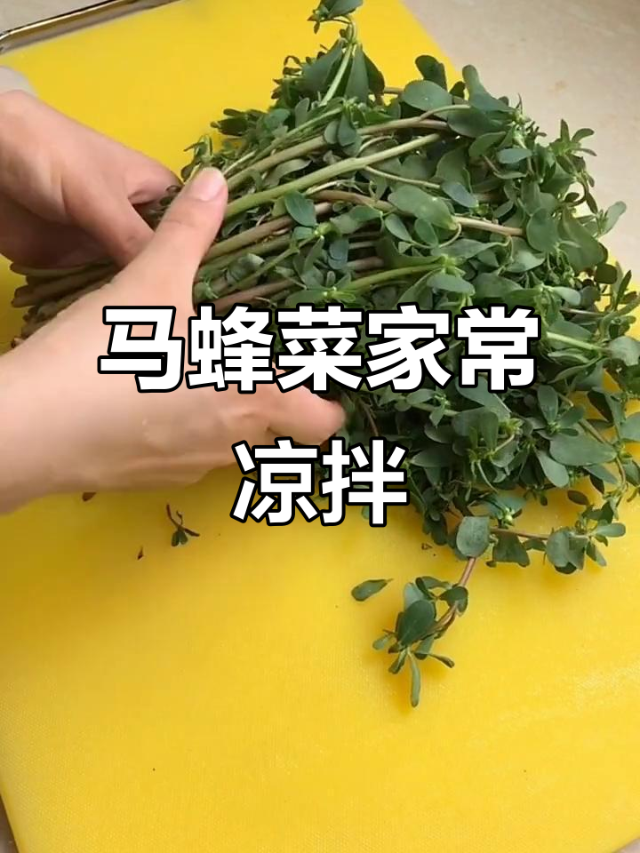 春季野菜马蜂菜新做法,简单又美味