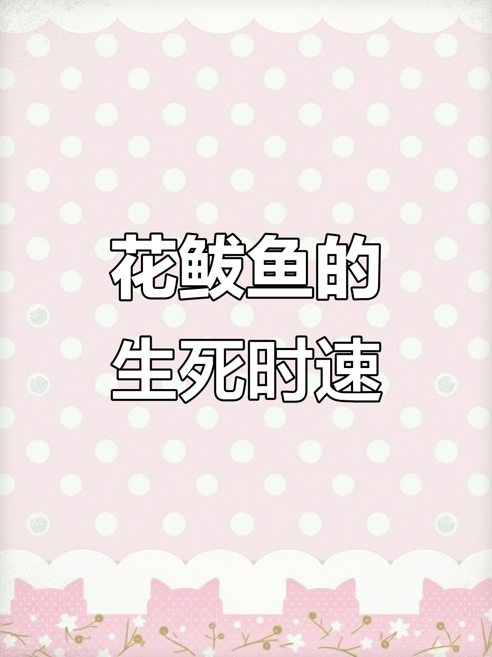 花鲅鱼养在缸里,螃蟹成天盯着它!