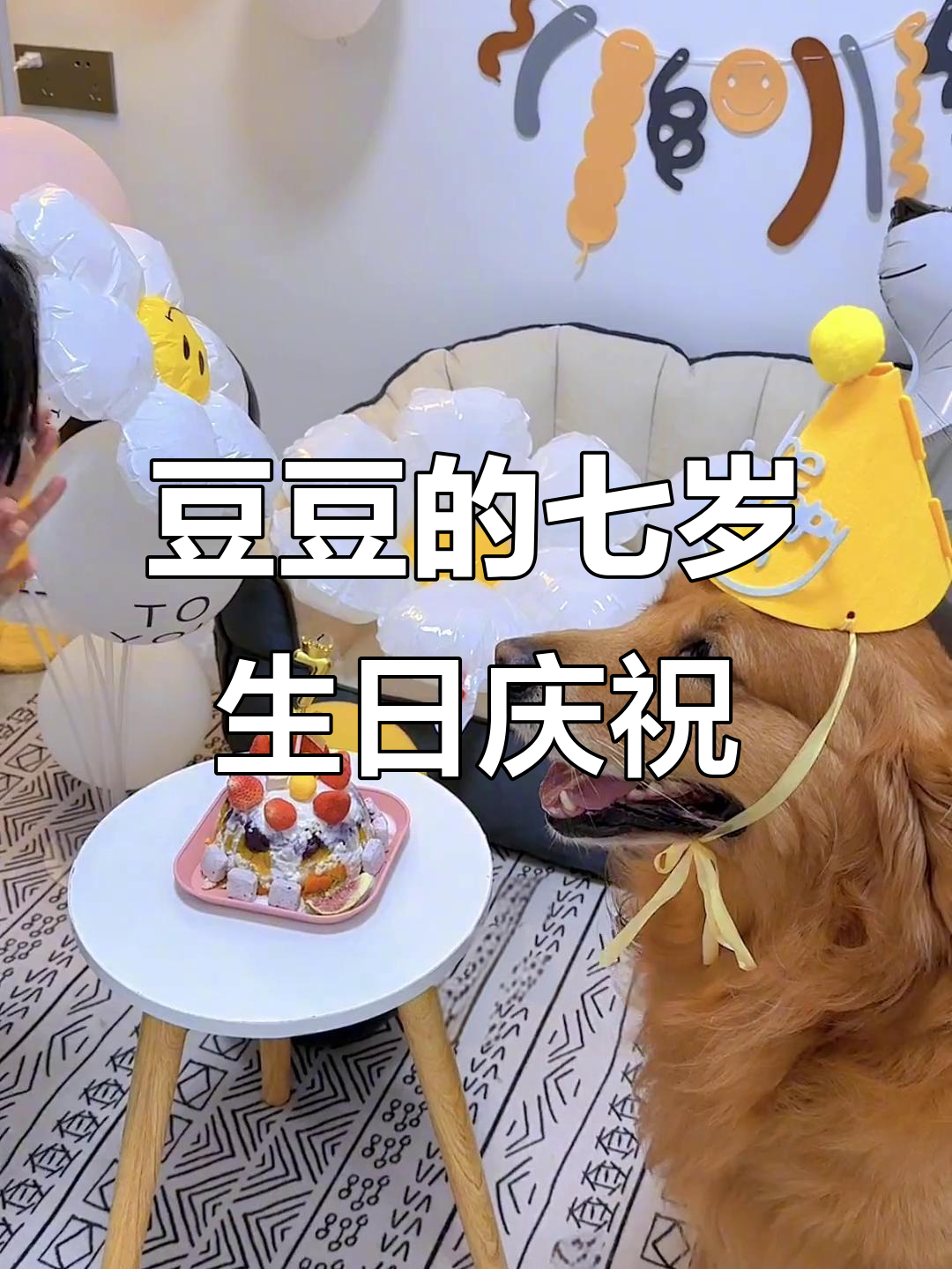 豆豆七岁生日,自制宠物蛋糕和惊喜派对!