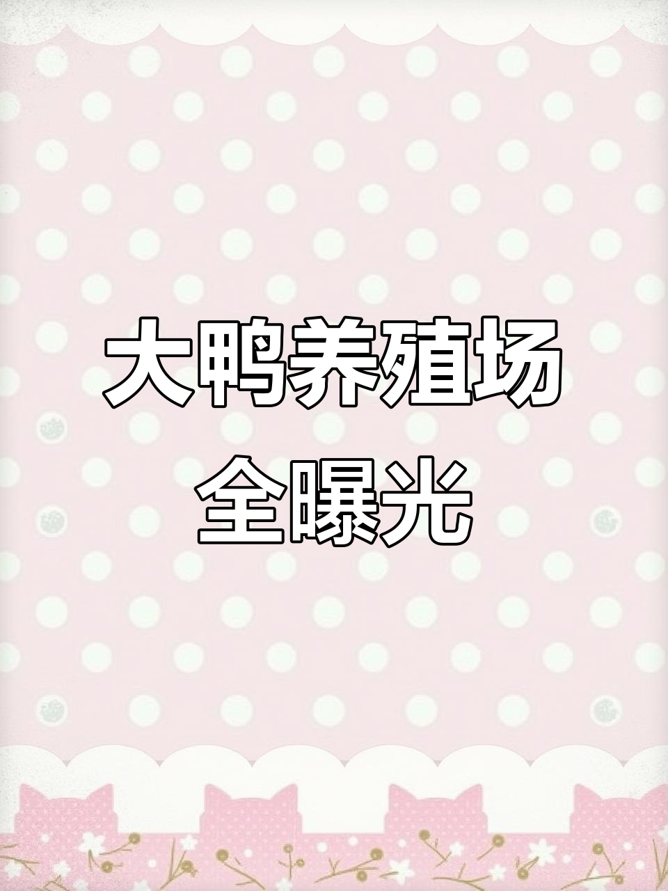 走进大鸭养殖场,真实环境一览无余