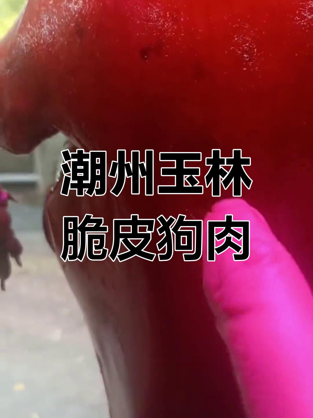 潮州脆皮狗肉的做法