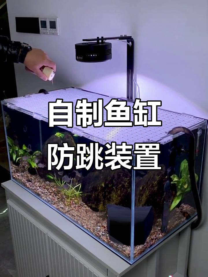 鱼缸防跳挡板DIY，简单又实用