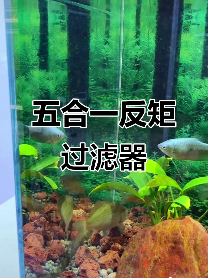 鱼缸气动水妖精五合一过滤系统,强力增氧造浪循环