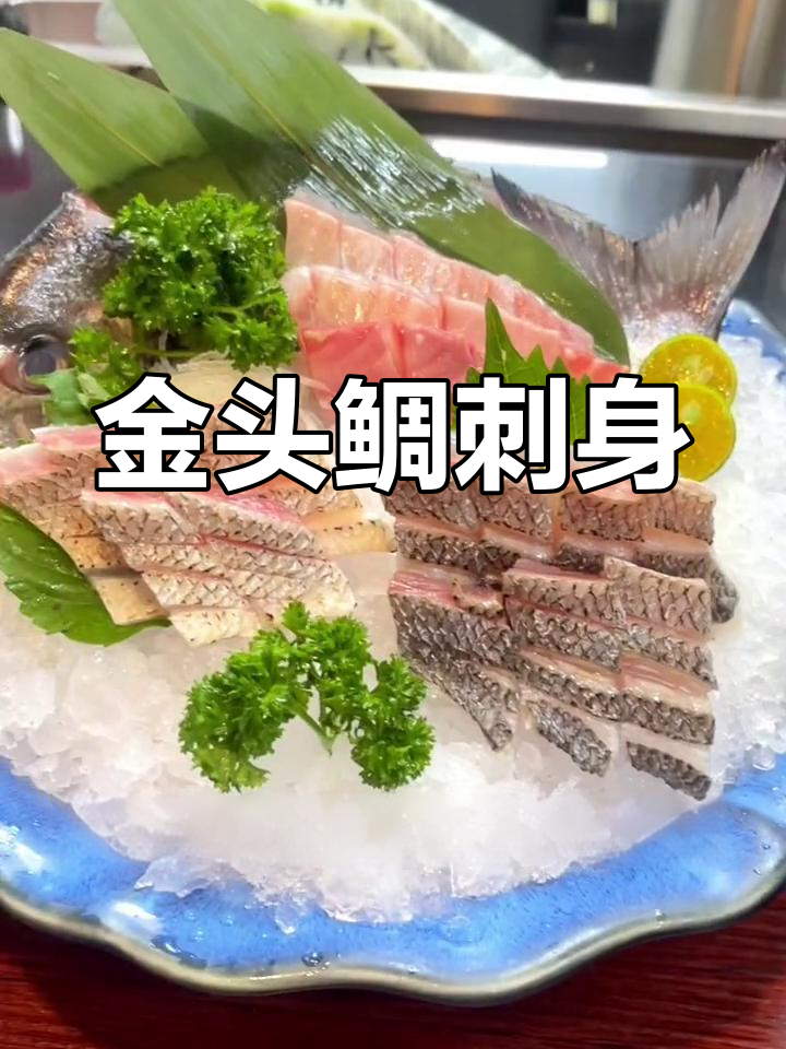 日本渔网捕到“海中珍宝”金头鲷