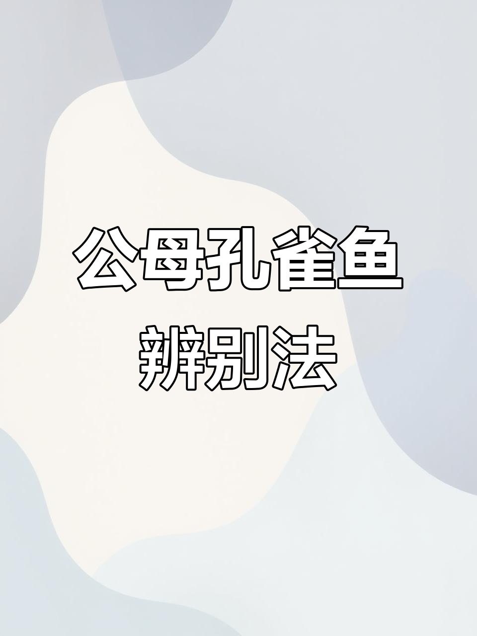 孔雀鱼公母分辨技巧，颜色和胎斑一学就会
