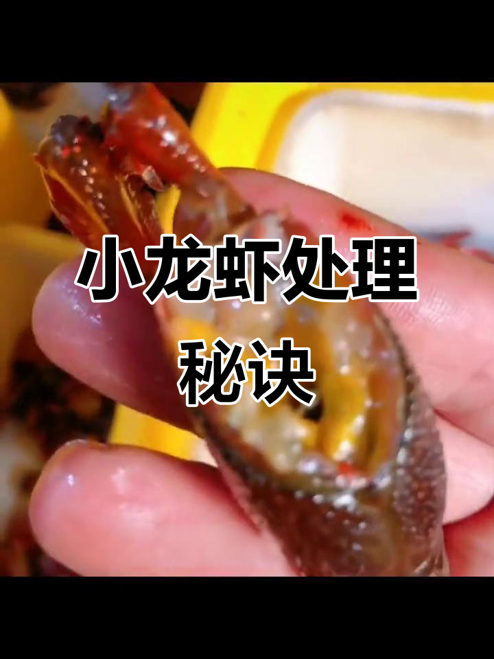 潜江虾皇秘籍:去头开背,确保小龙虾干净入味