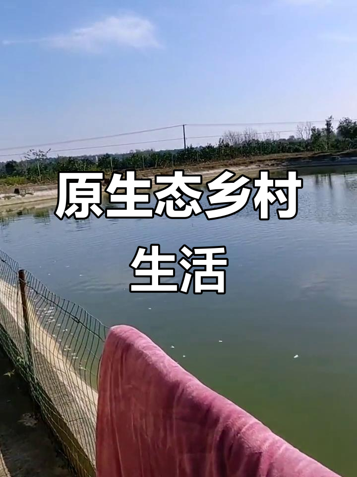 乡村冬日暖阳,晒腊肉、晒太阳的悠闲时光