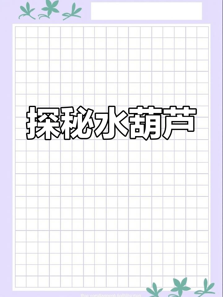水葫芦的秘密:从植物到环保新宠
