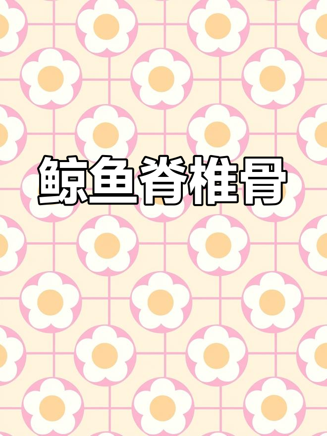 世界最大脊椎骨揭秘