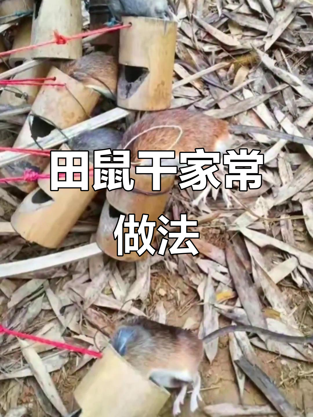 田鼠干的美味做法:大蒜炒萝卜与冬笋,家乡的味道让人怀念