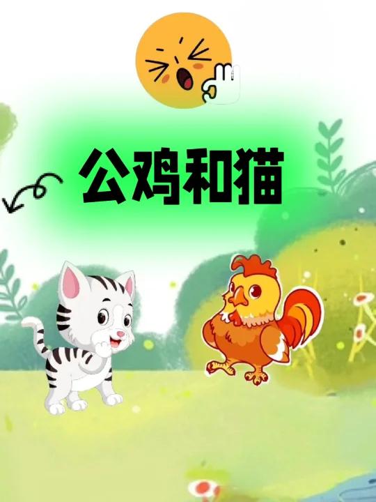 新故事来了一一公鸡和猫