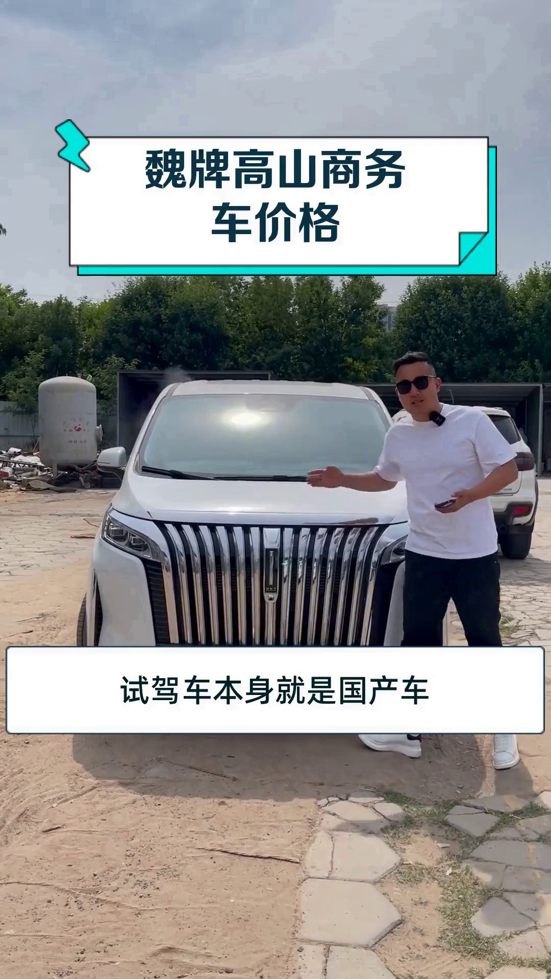 魏牌高山商务车价格