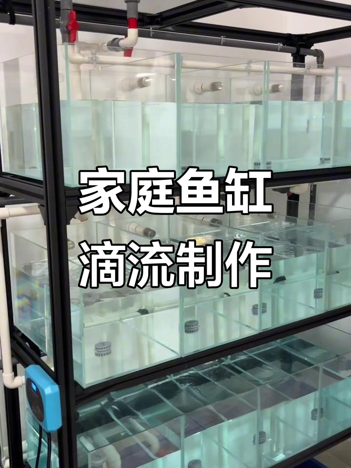 从零开始打造鱼缸滴流系统，PVC管件安装全流程