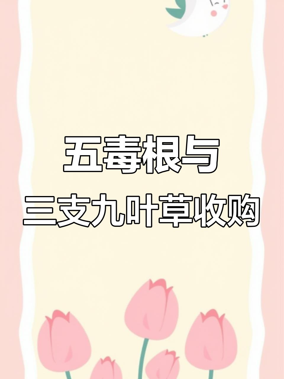 鸡冠山新志六组五毒根与三支九叶草大收购,野生植物探秘