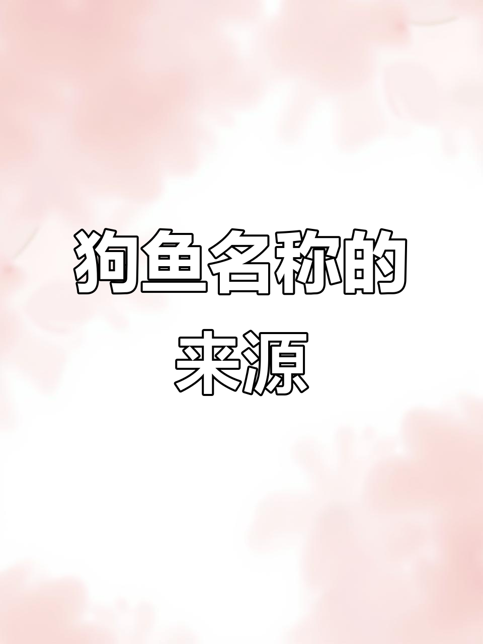 满语中的狗鱼名字由来，揭秘淡水鱼的独特命名方式
