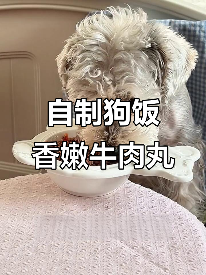 10分钟做狗狗鲜食,粉蒸牛肉丸香气扑鼻