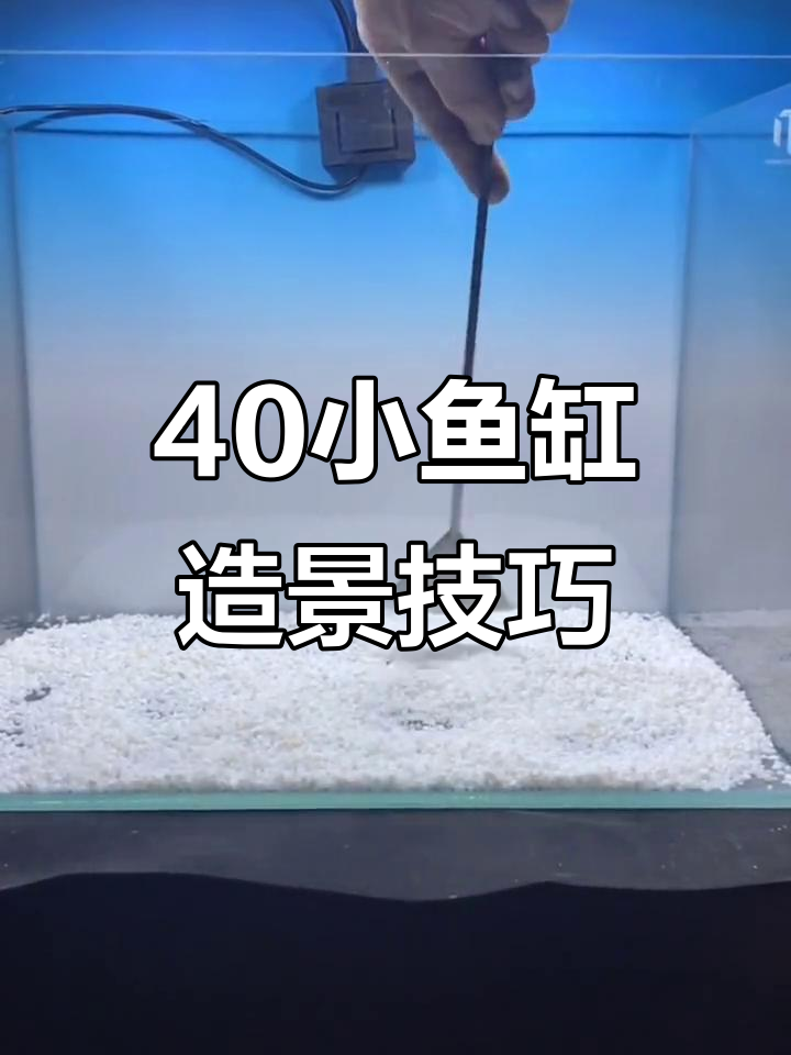 小鱼缸造景全攻略:白沙、莫斯与动静结合