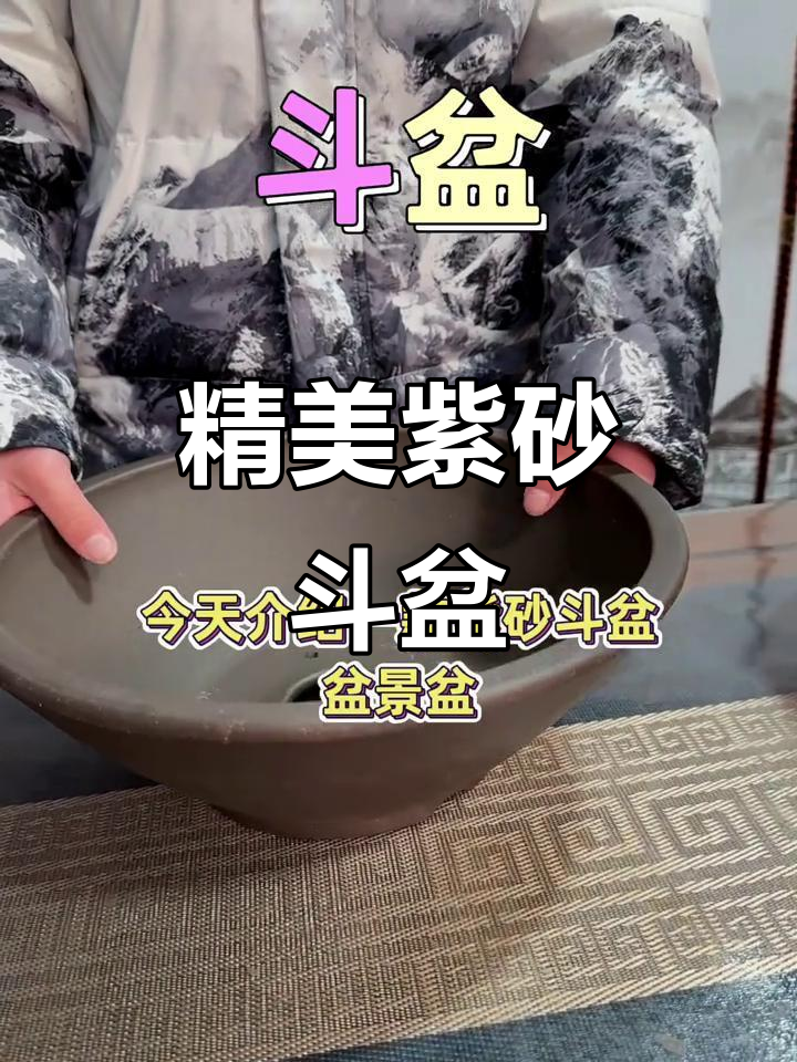 紫砂斗盆:完美弧度与多孔设计,适合各种盆景种植