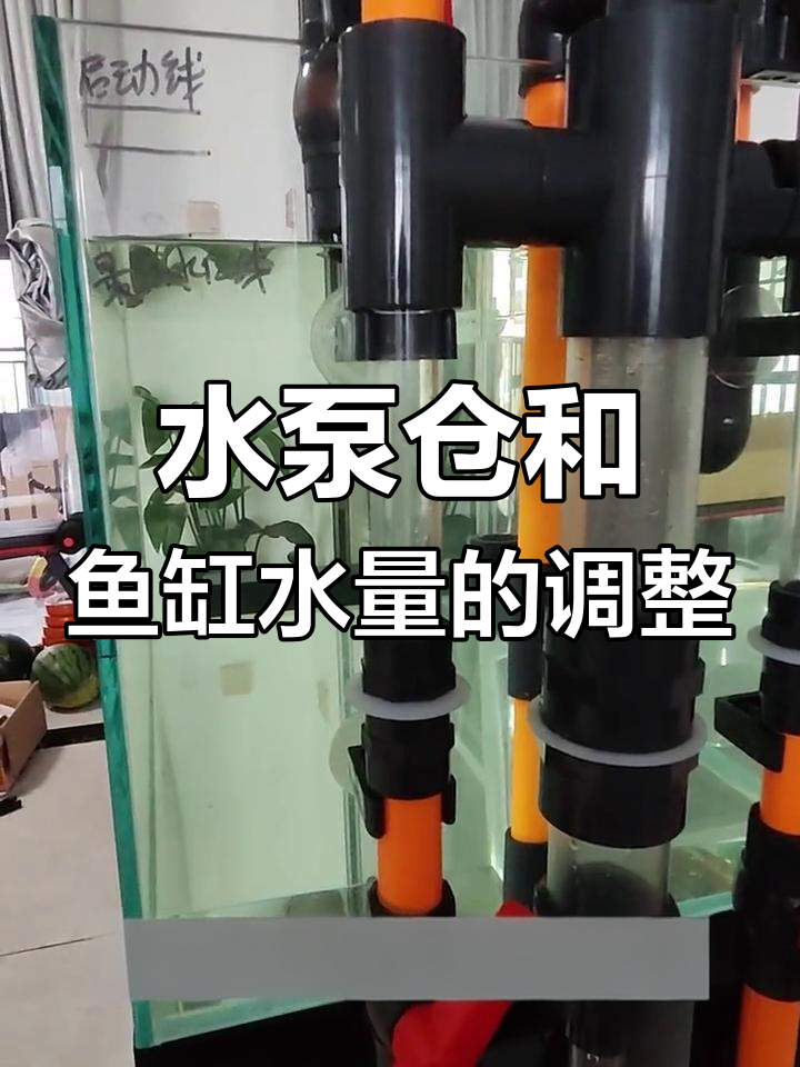 调节水泵仓与鱼缸水量,虹吸过滤系统安装教程