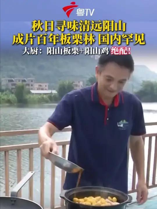 清远阳山是广东最大板栗生产基地,岭背镇种植板栗面积大,至今保存着国内罕见的成片百年板栗林。