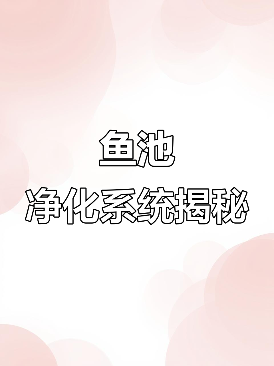 小鱼池净化设计全解析：物理与生化过滤完美结合