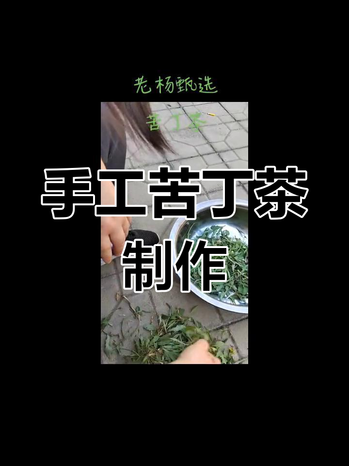 自制苦丁茶,田园生活里的健康之选