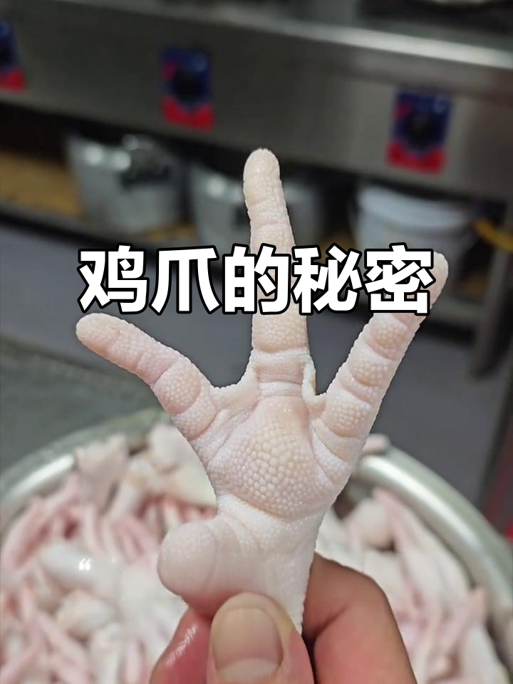 原来鸡爪只有四个指头，真是奇怪！