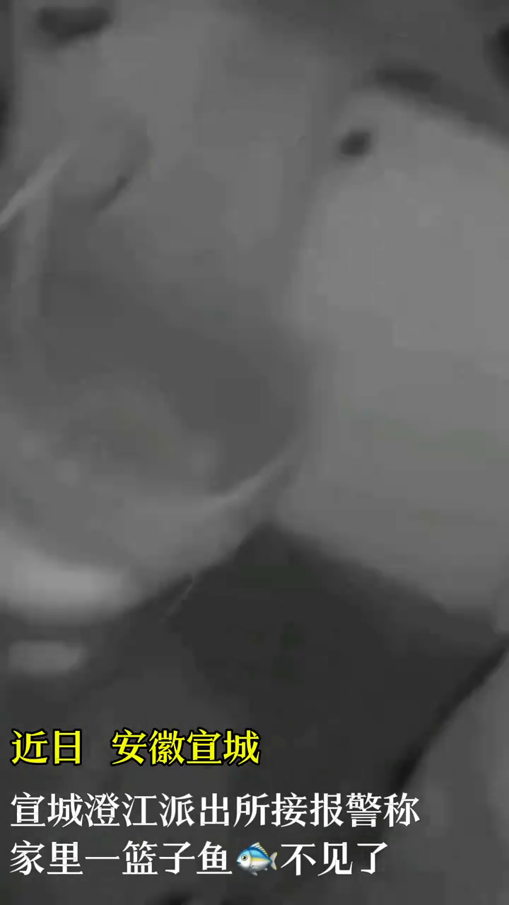 奶奶腌鱼遗失民警现场破案