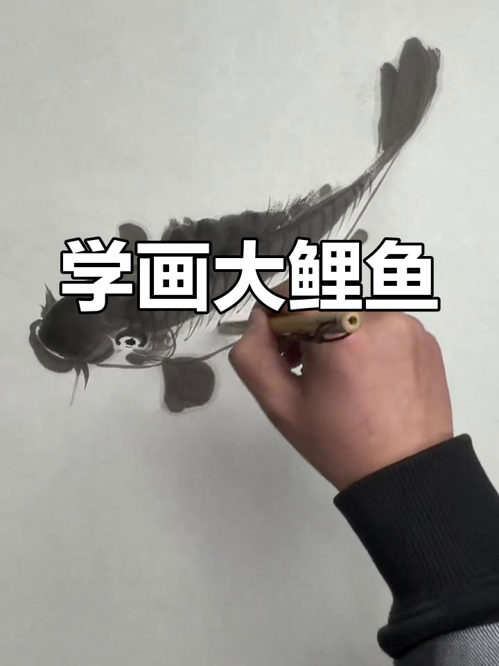 零基础学国画：大鲤鱼写意技巧，轻松掌握