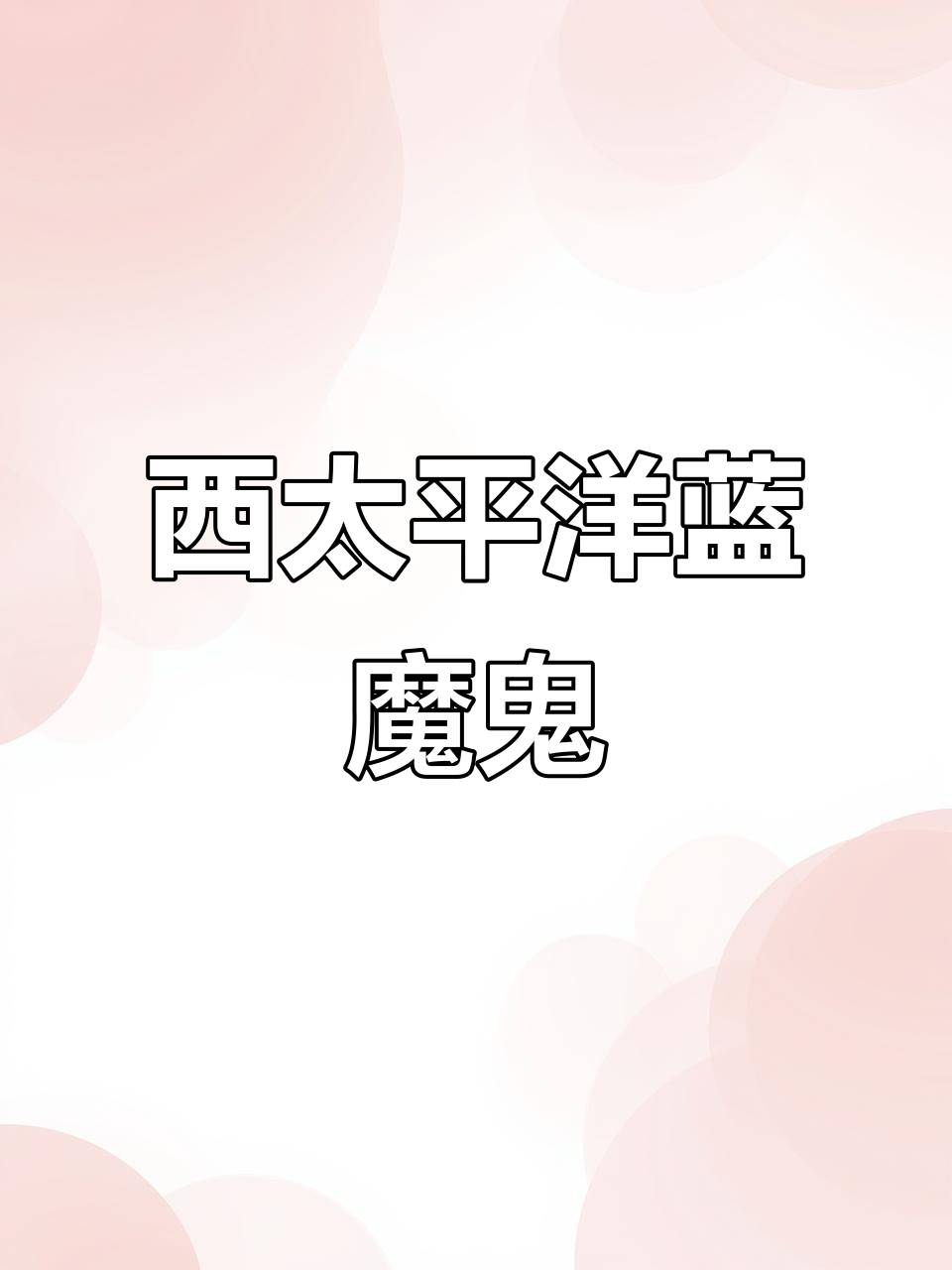 蓝魔鬼鱼:西太平洋的美丽凶猛观赏鱼