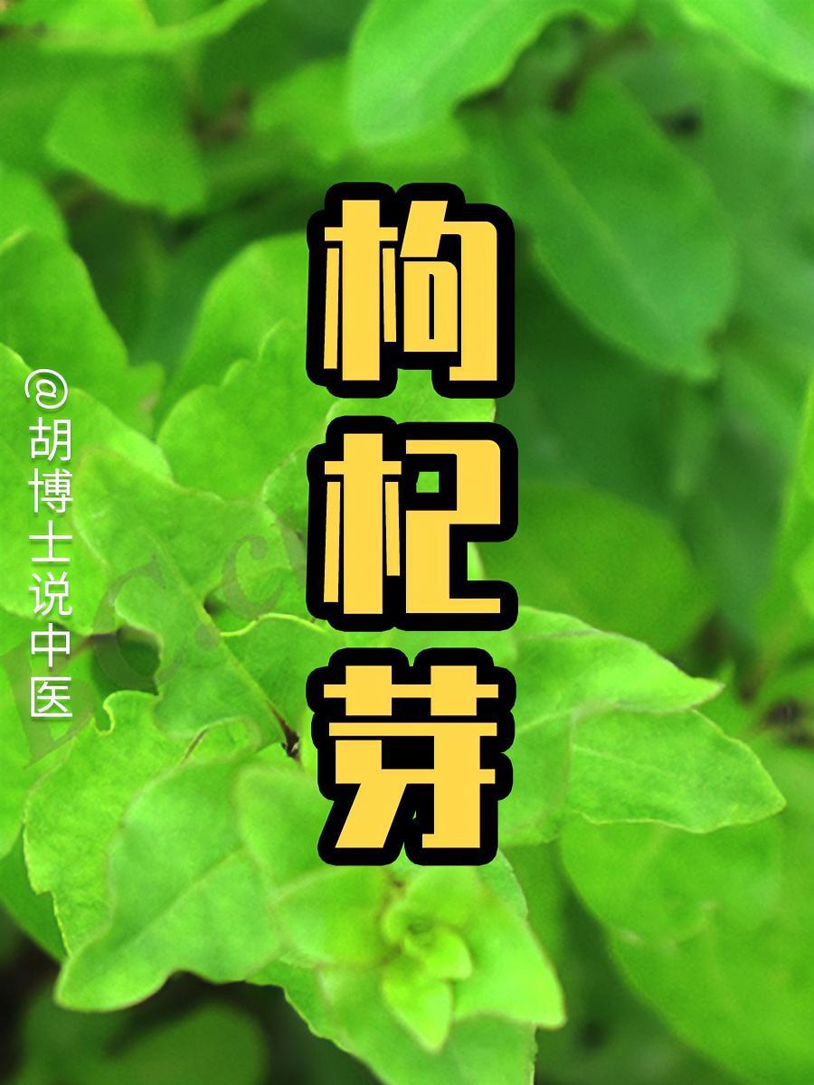 枸杞芽,又叫枸杞叶 枸杞叶 枸杞芽 枸杞菜 胡博士说中医