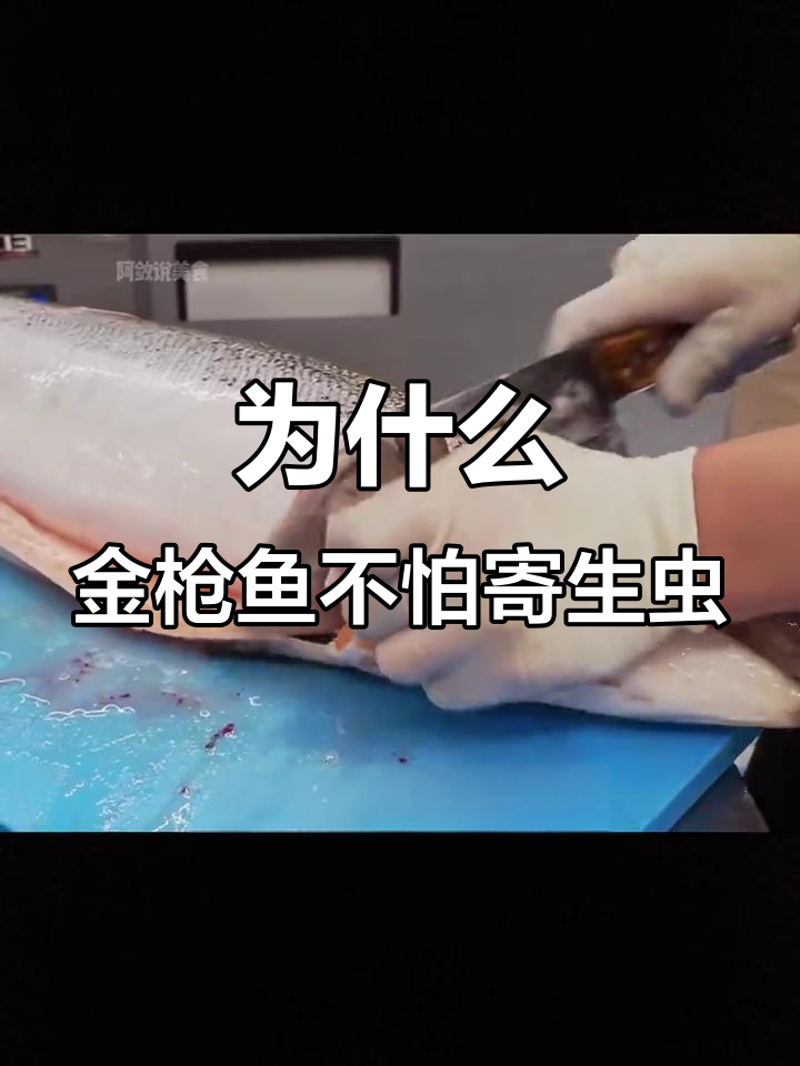 金枪鱼为何能放心生吃?揭秘其特殊处理方式