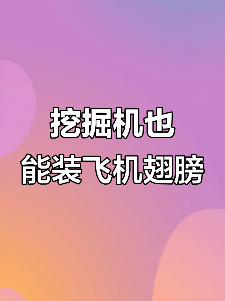 挖掘机能装飞机翅膀?只要钱到位,啥都能搞定