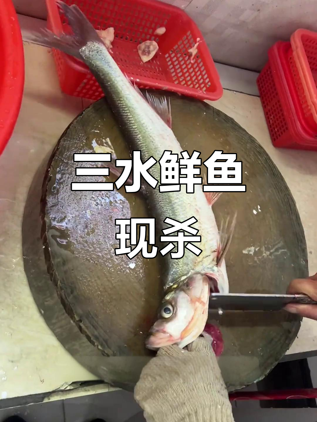 佛山三水活鱼现杀,路亚爱好者必试美食