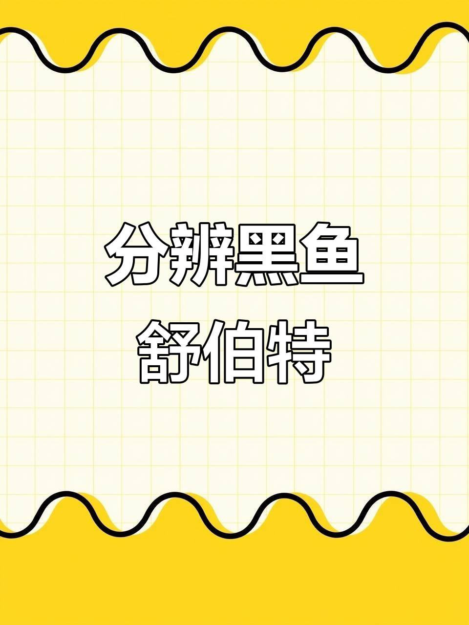 黑鱼舒伯特与诺卡氏的区别,如何判断?