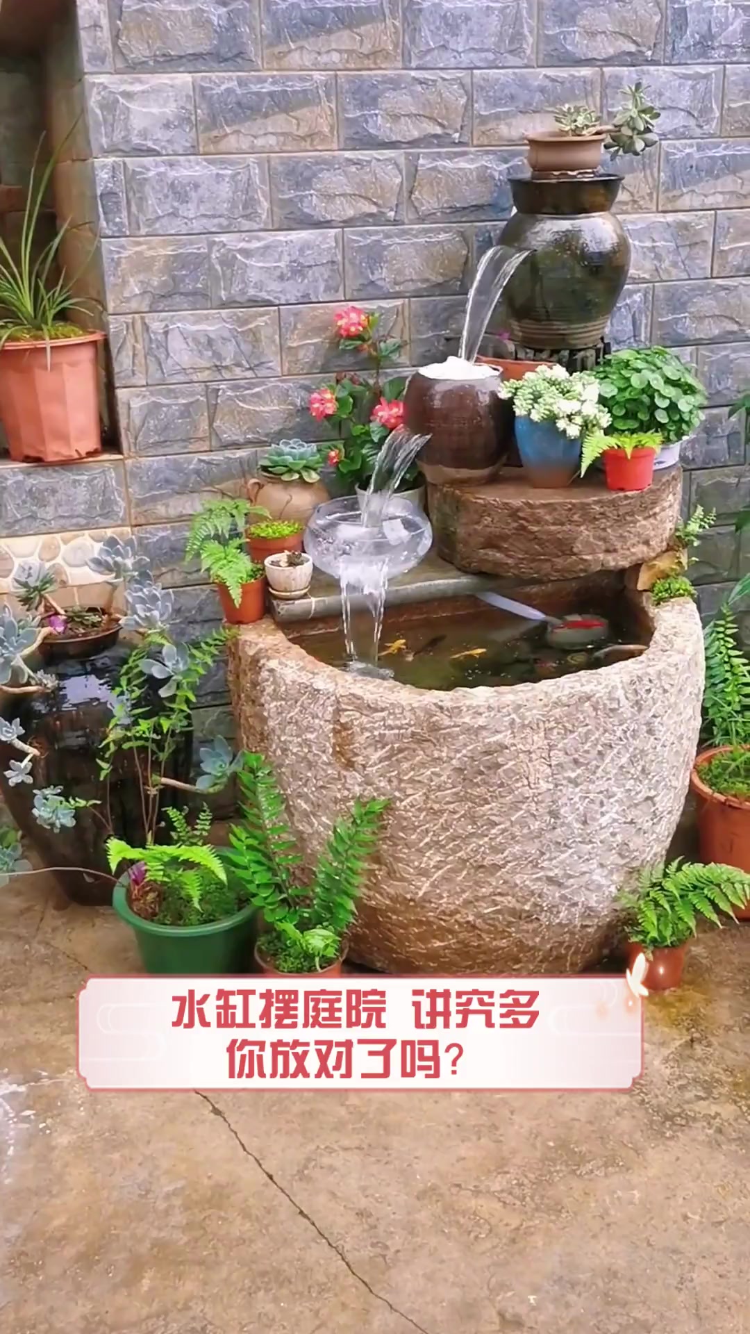 水缸摆庭院,讲究多,你放对了吗?