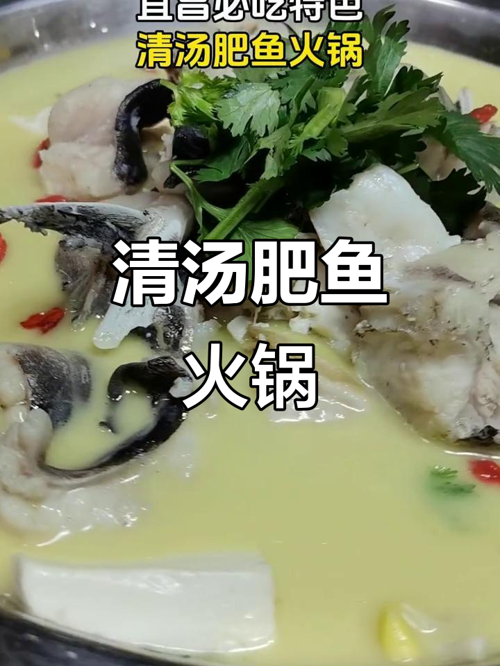 宜昌清汤肥鱼火锅,鲜美无比的独特美味