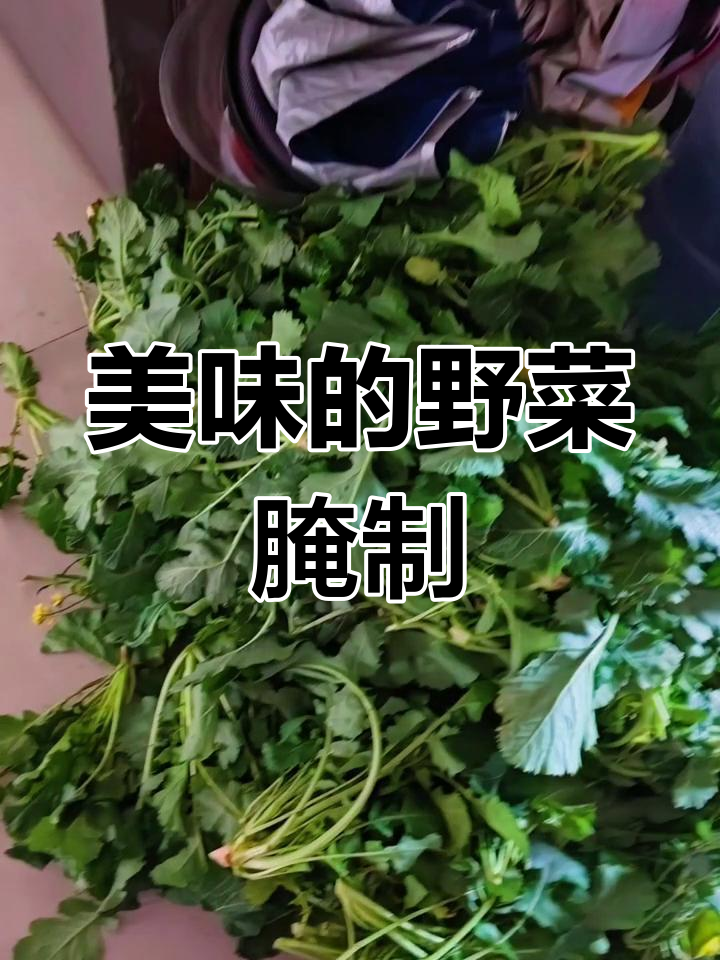 野菜苔腌制晒干,梅干菜烧肉更美味!