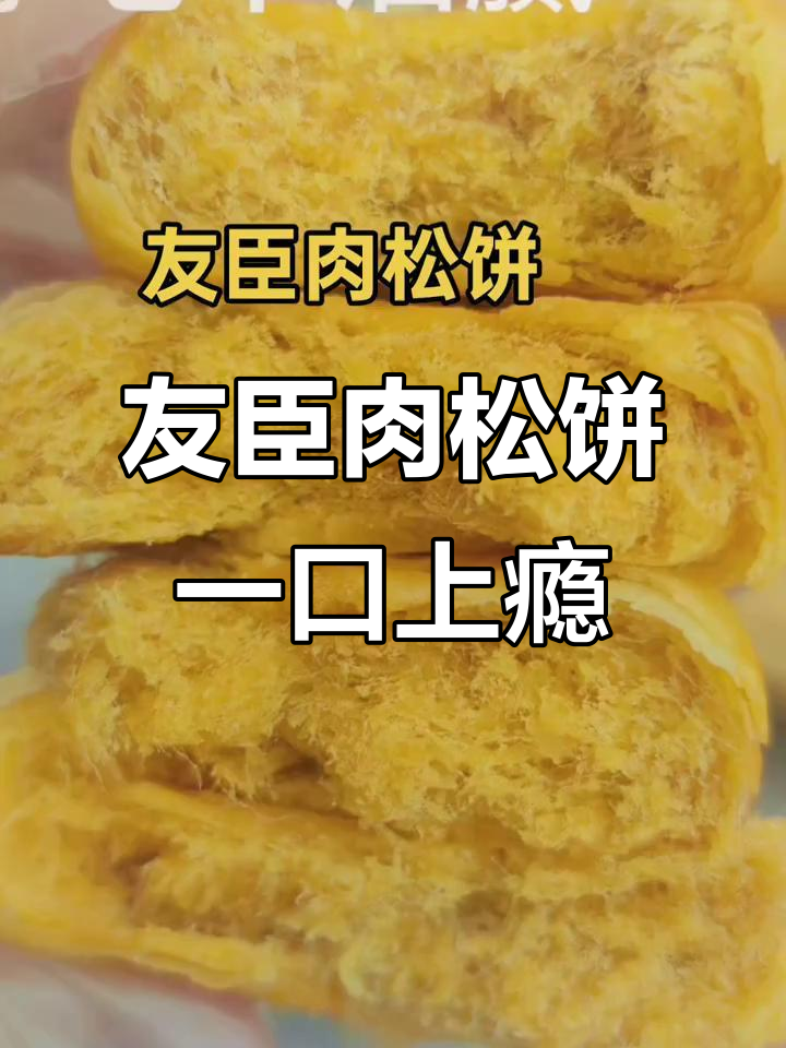 一口爱上友臣肉松饼,吃了停不下来!