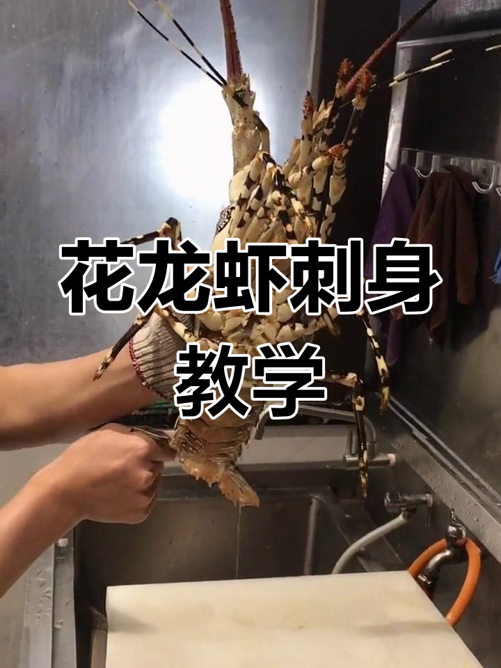 分享花龙虾刺身制作,每日更新美食教程