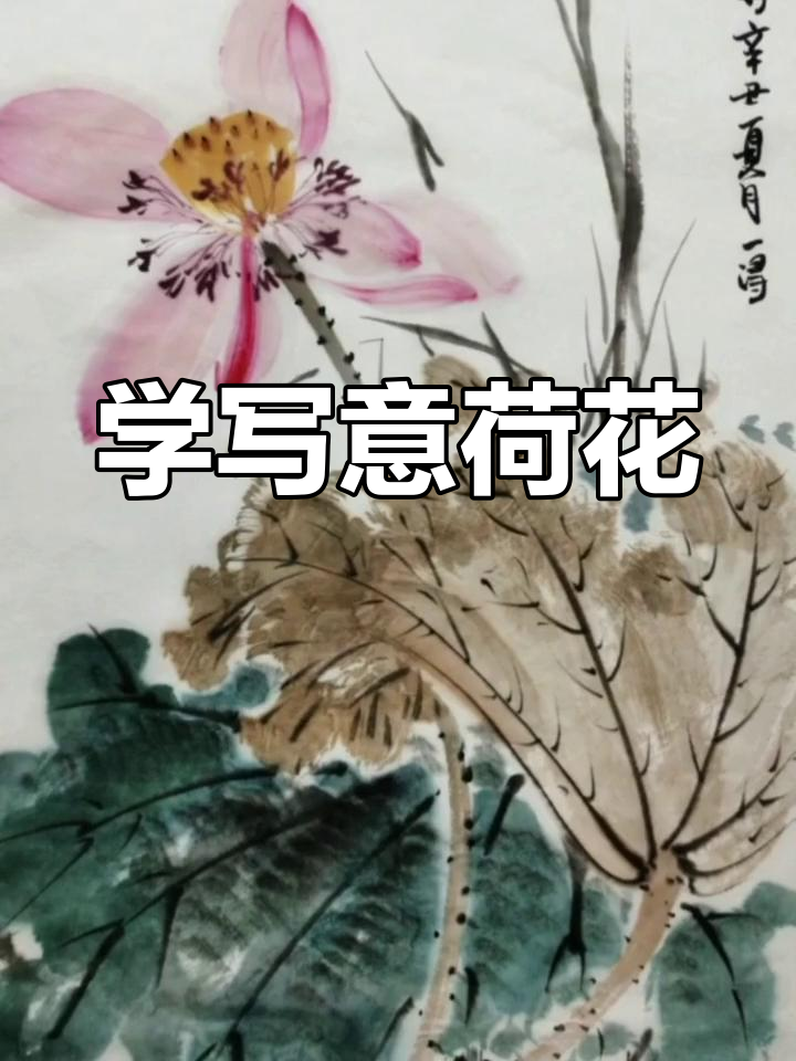 写意荷花画法,轻松学会国画技巧