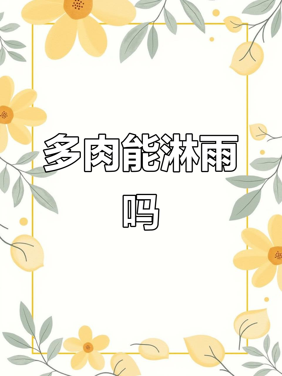 春雨来袭,多肉如何应对?淋雨技巧大公开