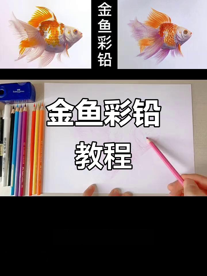彩铅画小金鱼，细节决定成败