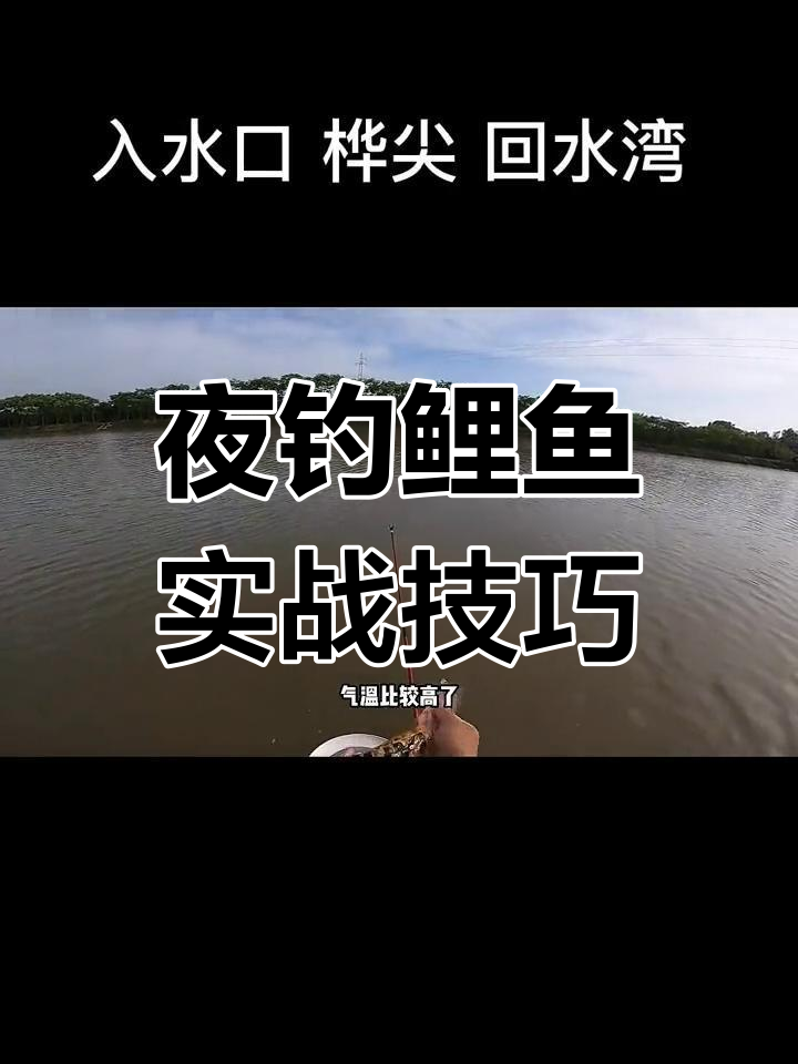 夜钓鲤鱼三大技巧,细节决定成败