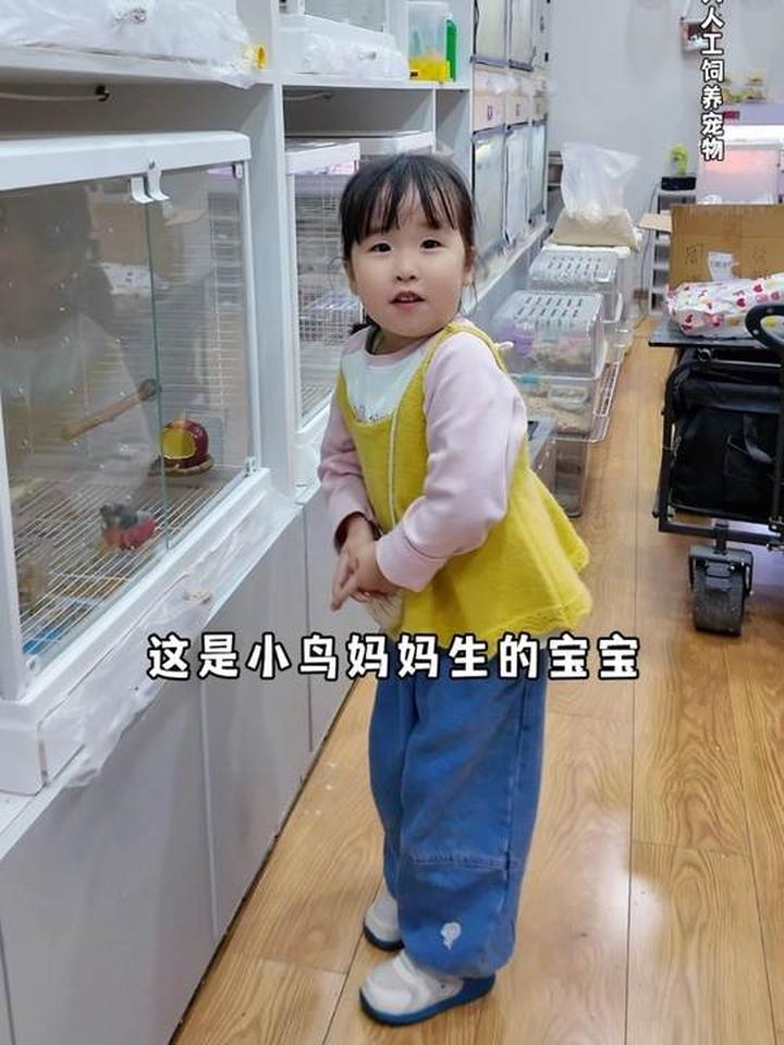 一家人购物买观赏鱼和鹦鹉,萌娃出门超开心